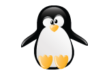 The Google Penguin Algorithm